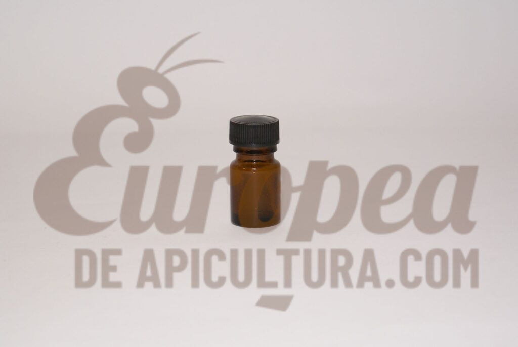 🛒Tarro cristal celdilla 1kg + tapa dorada - Europea de Apicultura